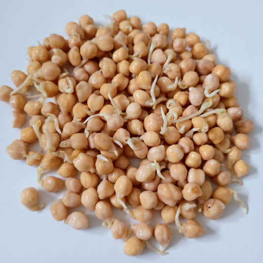 Organic Sprouting Seed: Chickpea