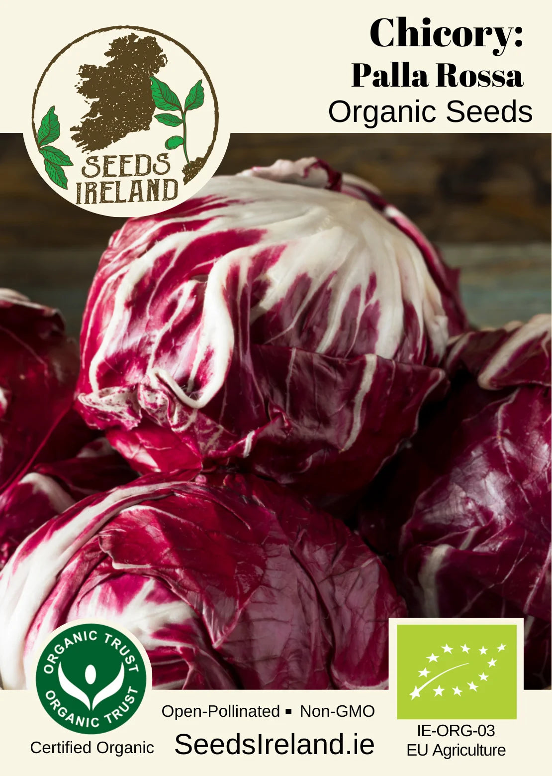 Chicory: Palla Rossa (radicchio) Organic Seed