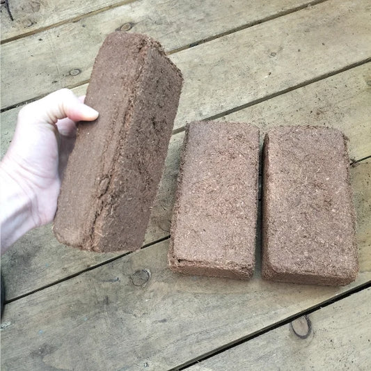 Coco Coir Bricks x 3