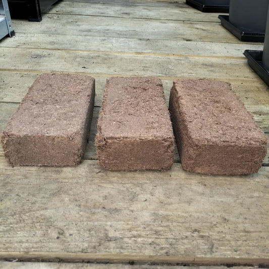 Coco Coir Bricks x 3