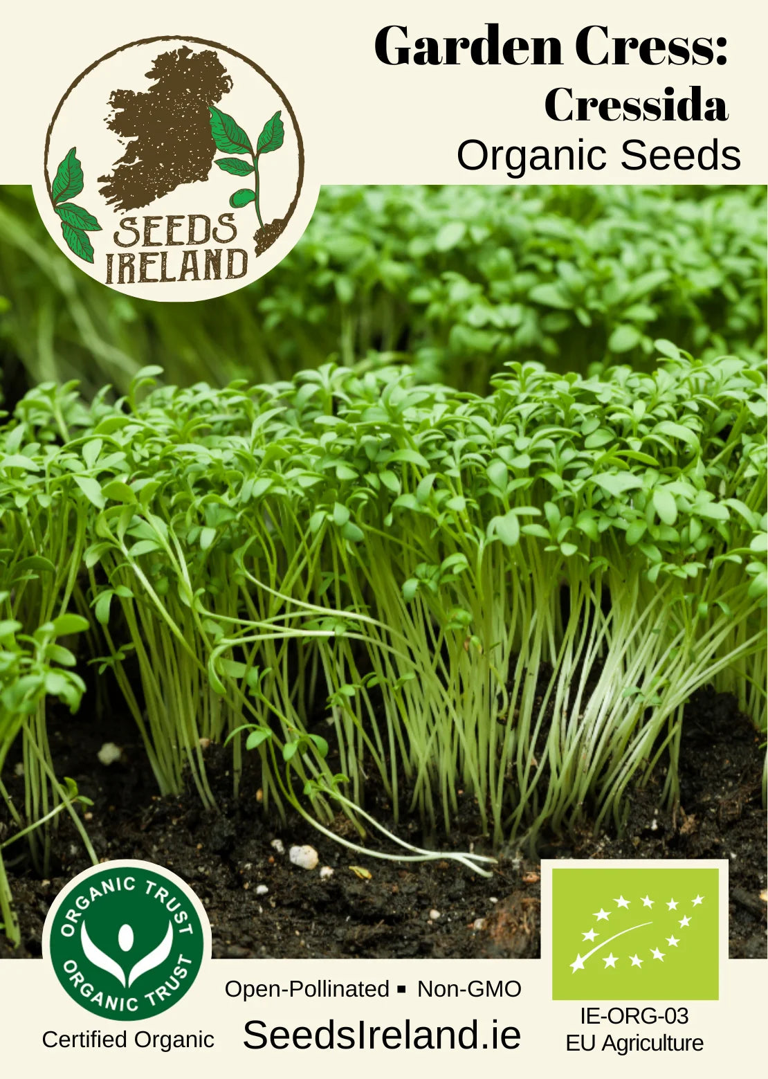 Garden Cress: Cressida Organic Seed