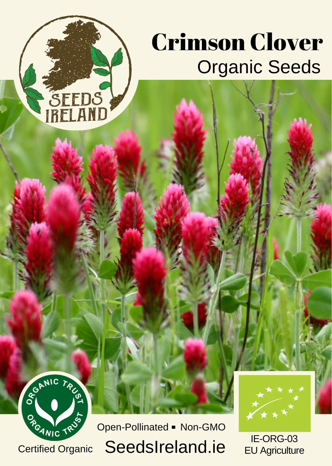 Crimson Clover Organic Seed