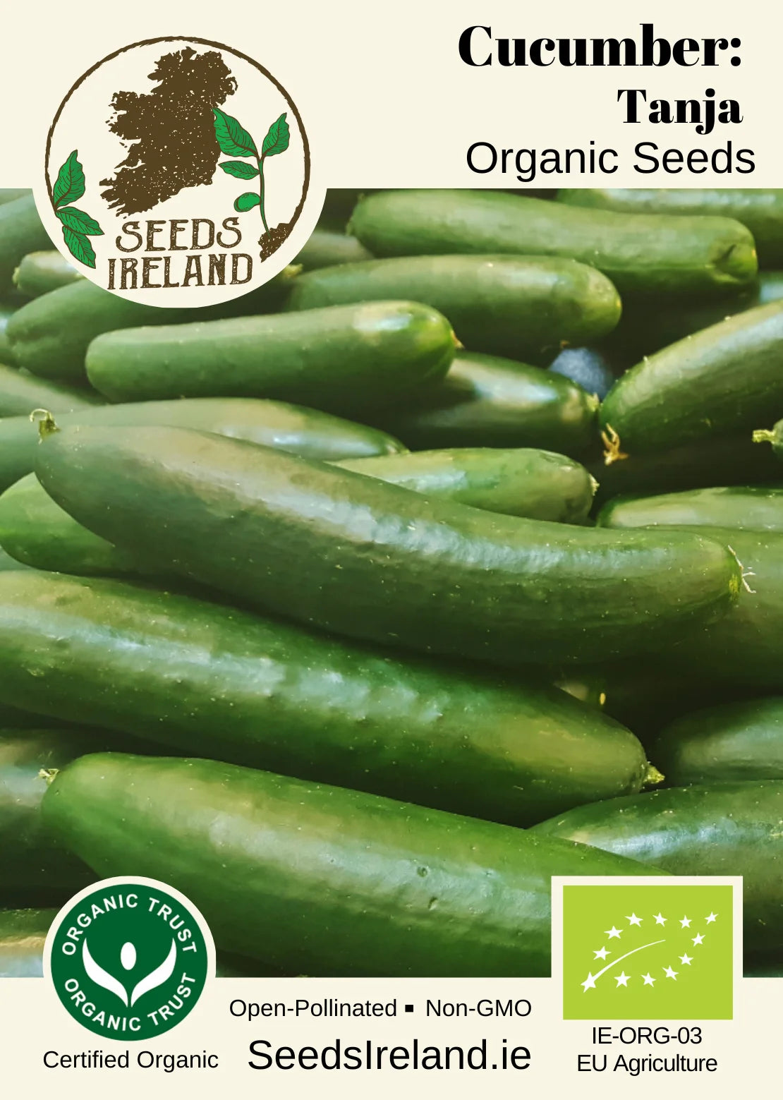 Cucumber: Tanja Organic Seed