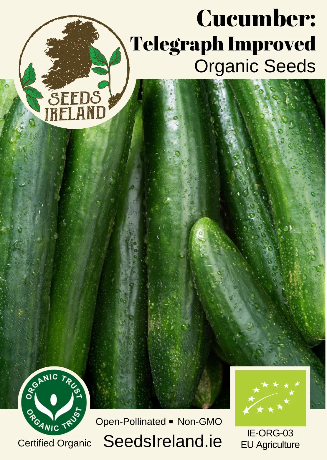 Cucumber: Telegraph Improved Organic Seed