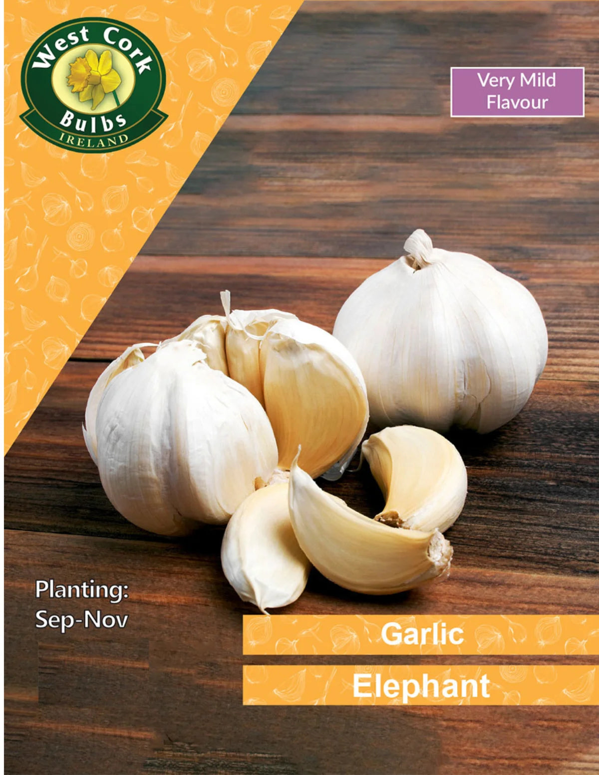 Elephant Garlic Bulbs Ireland Small Packs & Bulk Available Seeds