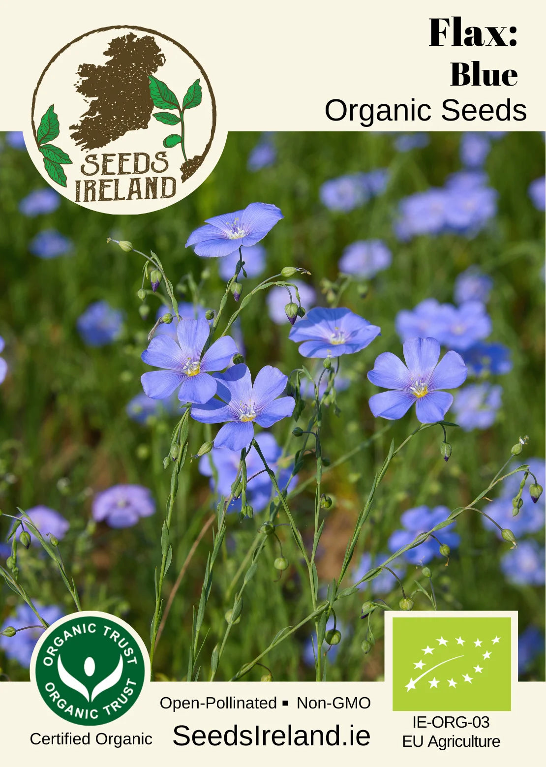 Flax: Blue Organic Seed