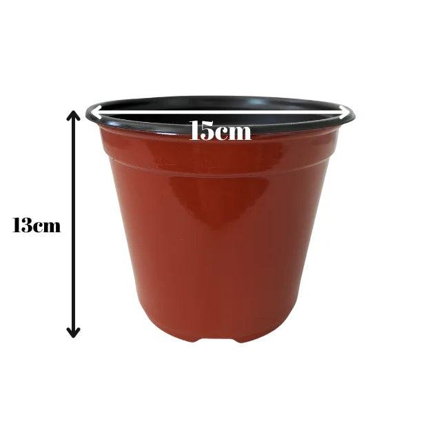 Flower Pot Medium Single Measurements