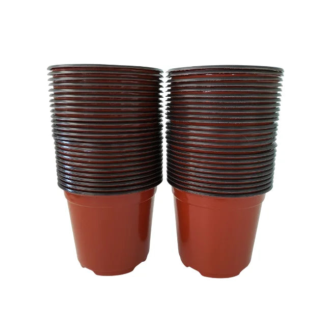 Flower Pot Medium 50 pieces