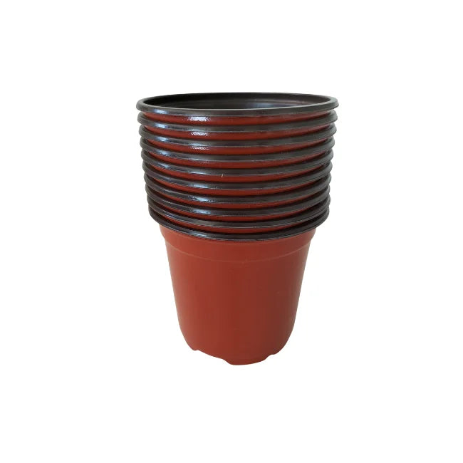 Flower Pot Small 10 pieces