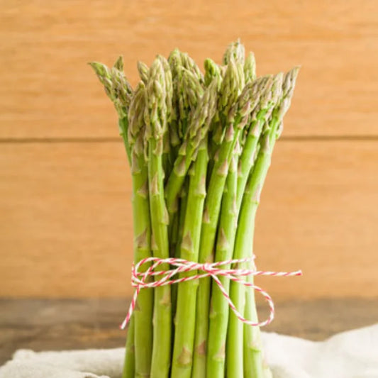 Asparagus Roots: Gijnlim White