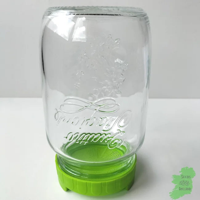 Sprouting jar with green lid
