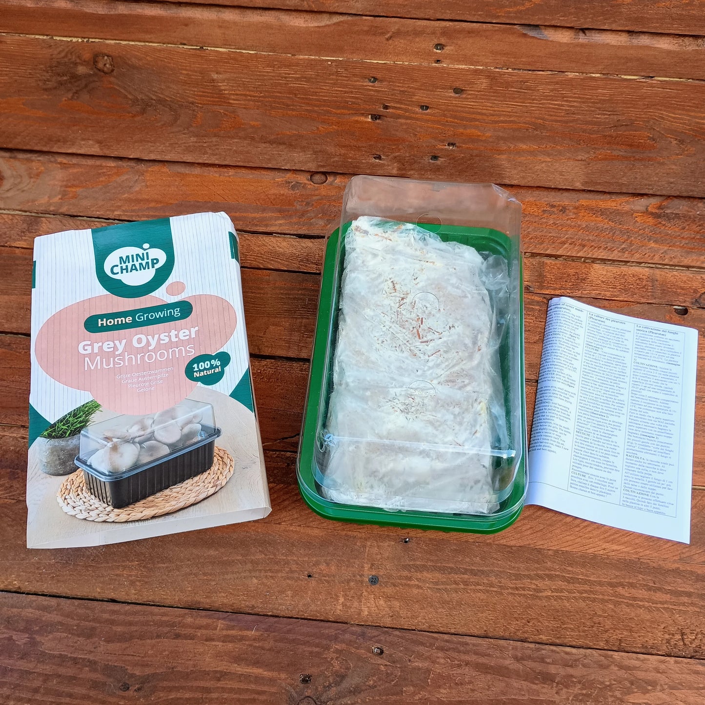 Grey Oyster Mushroom Grow Kit