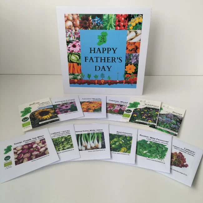 Happy Father's Day Gift pack Vegetables and Flowers