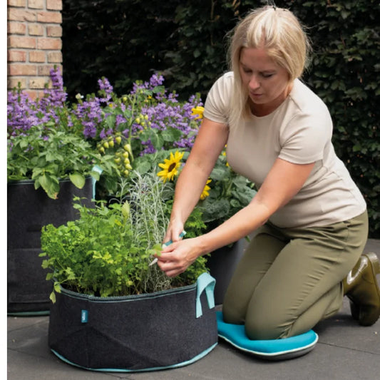 Herb Grow Bag - 38 Litre