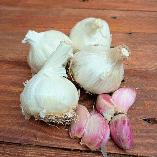 Garlic Bulbs: Flavor - Spring Planting - 250g