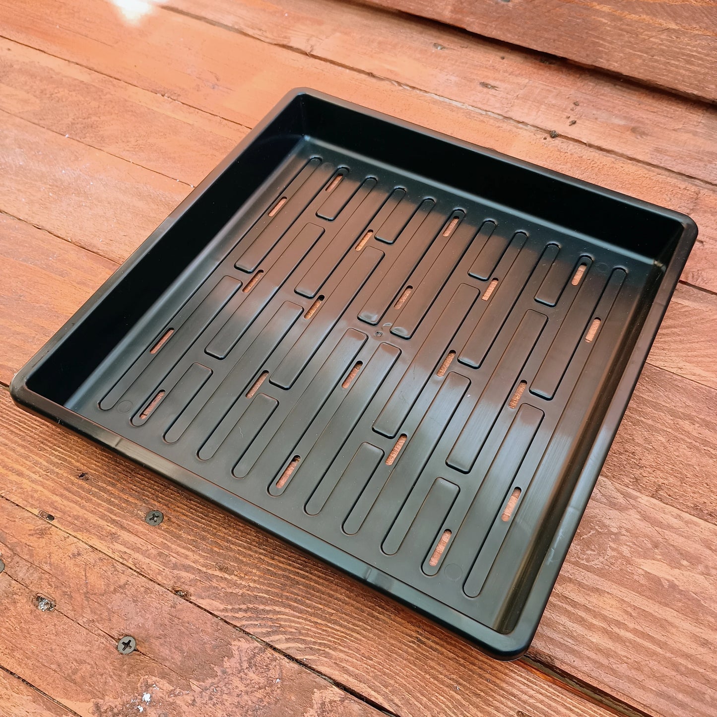 1010 Bootstrap Farmer Shallow Trays | With Holes | Heavy Duty Microgreens Or Seedling Trays