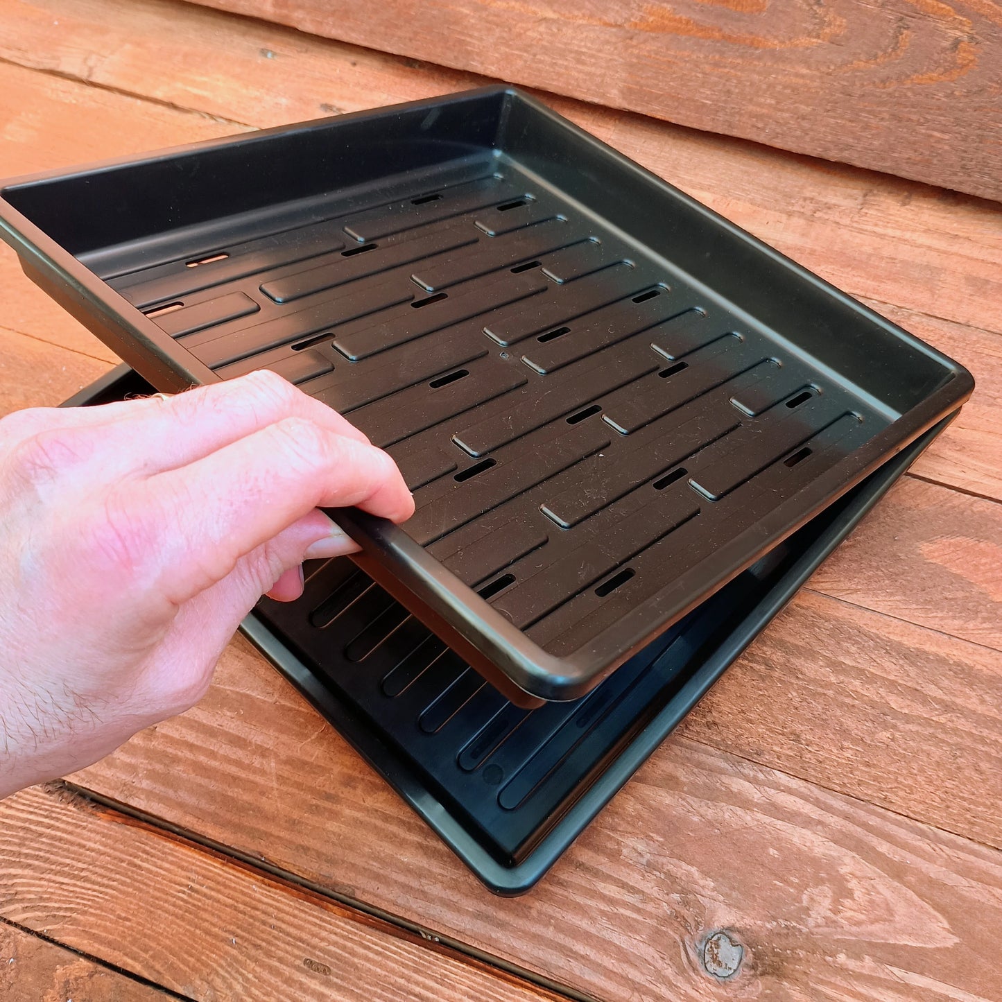 1010 Bootstrap Farmer Shallow Trays | With Holes | Heavy Duty Microgreens Or Seedling Trays