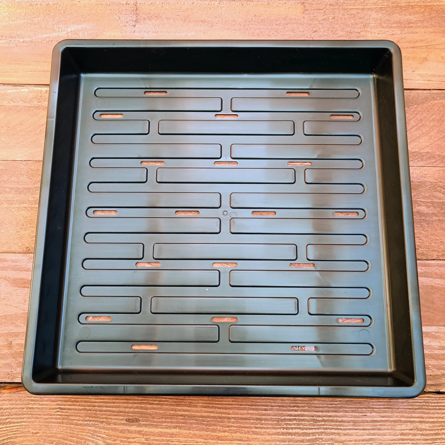 1010 Bootstrap Farmer Shallow Trays | With Holes | Heavy Duty Microgreens Or Seedling Trays