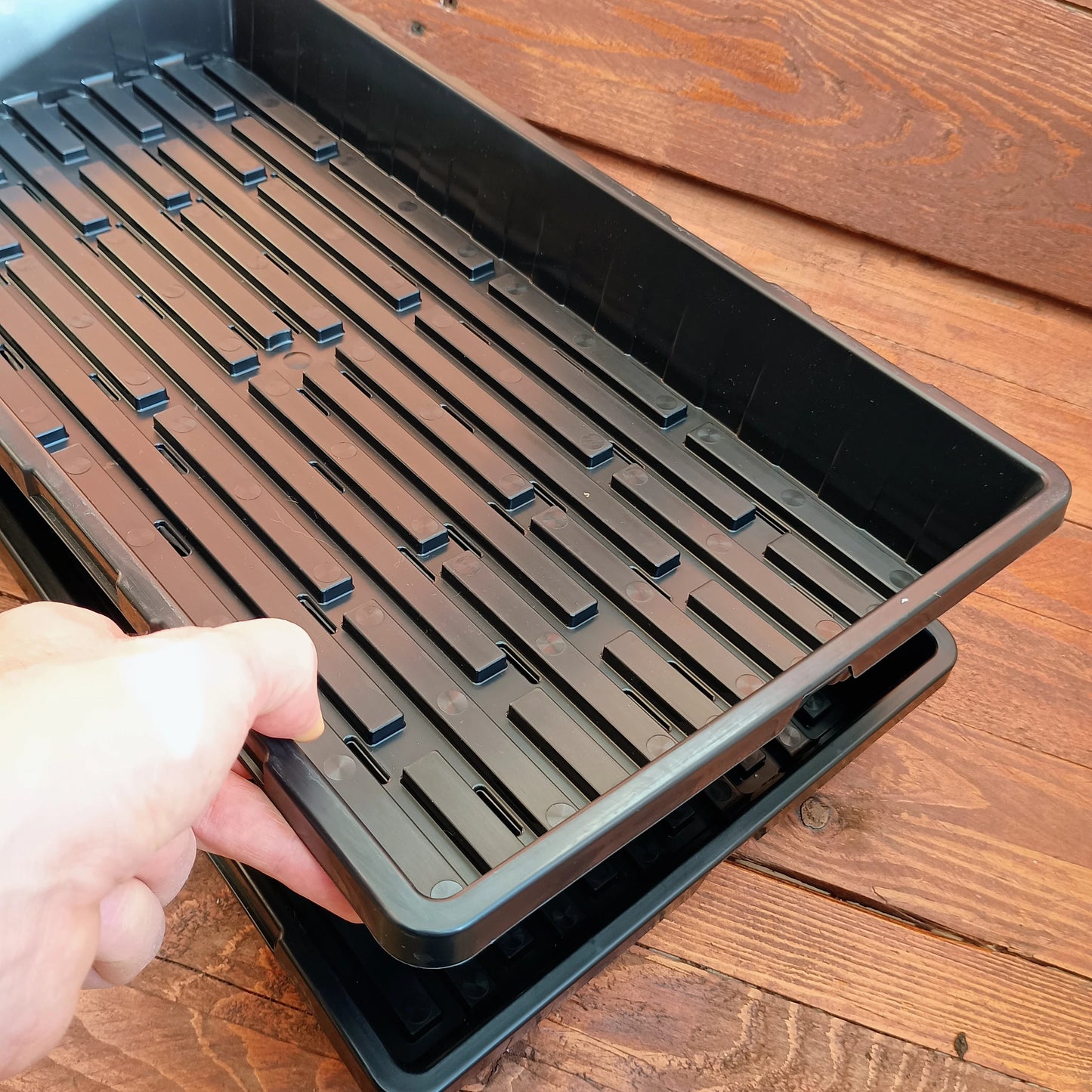 Deep 1020 Bootstrap Farmer Trays | With Holes | Heavy Duty Microgreens Or Seedling Trays