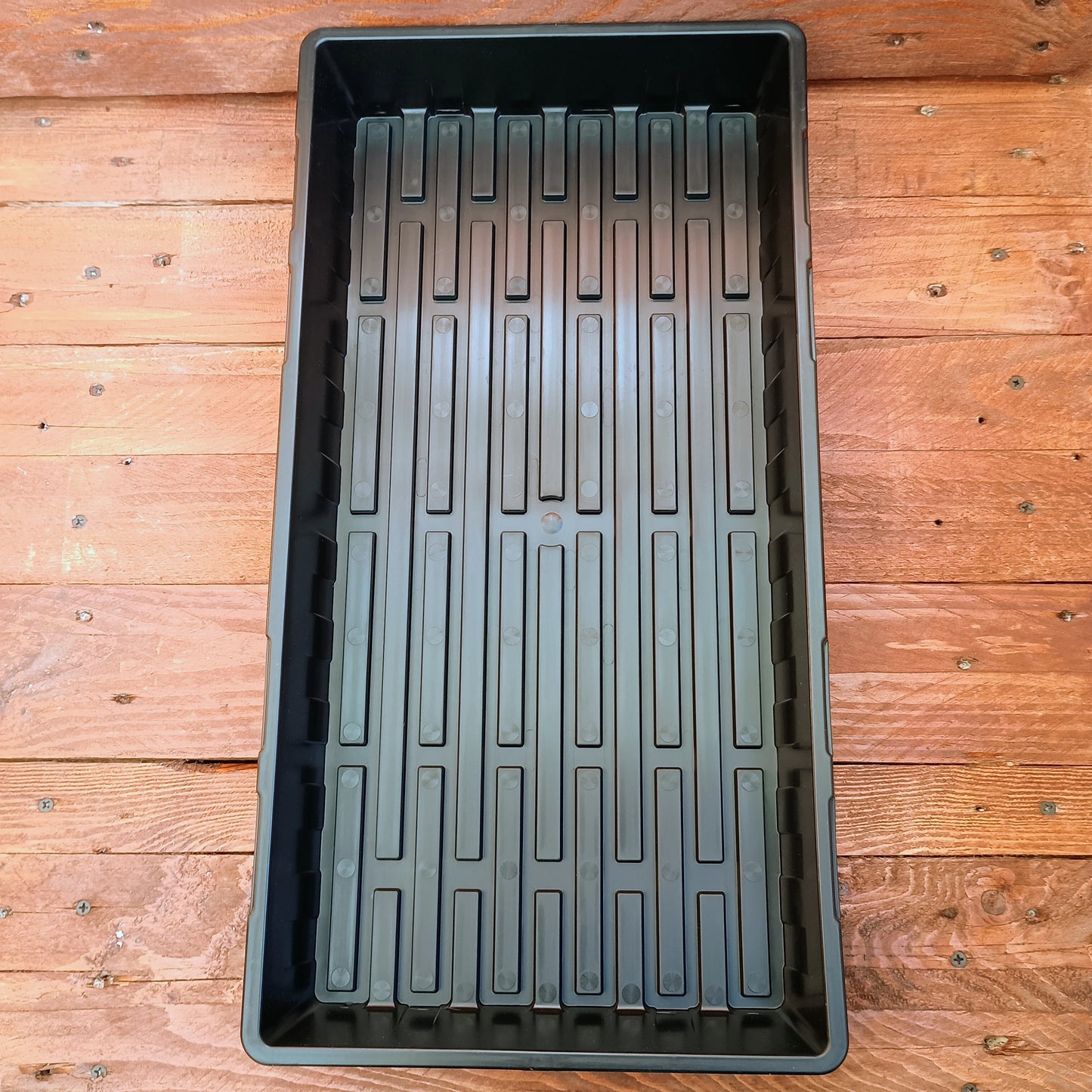 Deep 1020 Bootstrap Farmer Trays | Without Holes | Heavy Duty Microgreens Or Seedling Trays