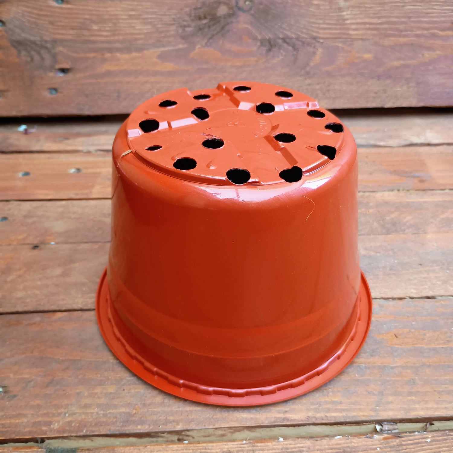 large coloured plastic plant pots Large Plastic Terracotta Coloured Flower Pots | 19cm