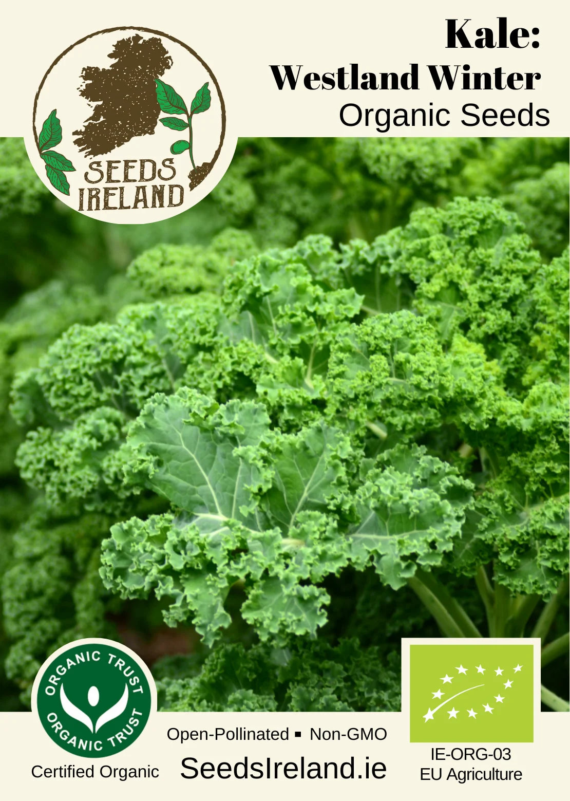 Kale: Westland Winter Organic Seed