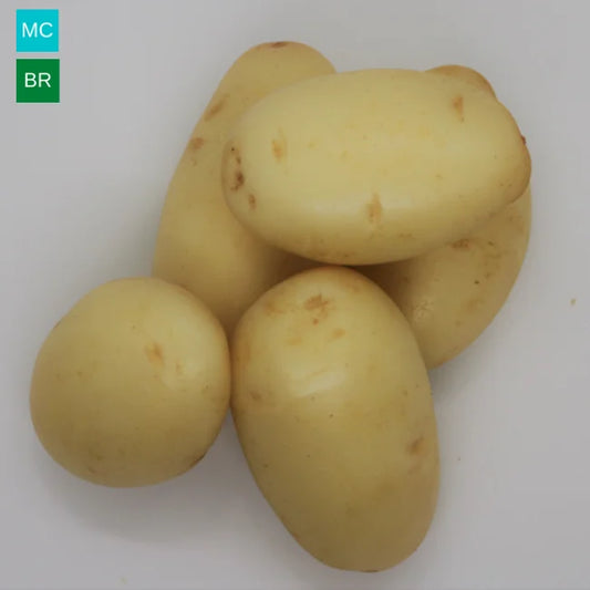 Seed Potatoes: Kelly