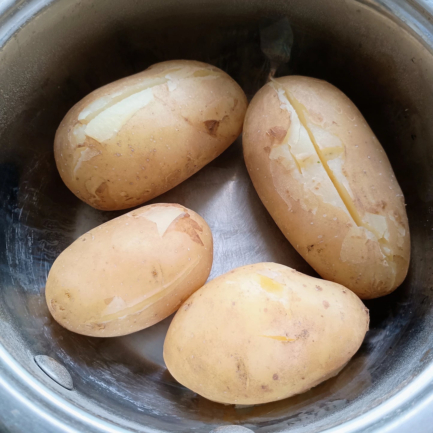 Seed Potatoes: Kelly