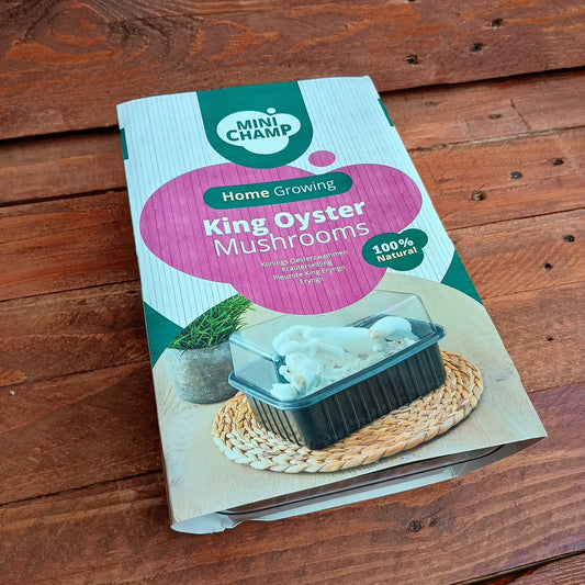 King Oyster Mushroom Grow Kit
