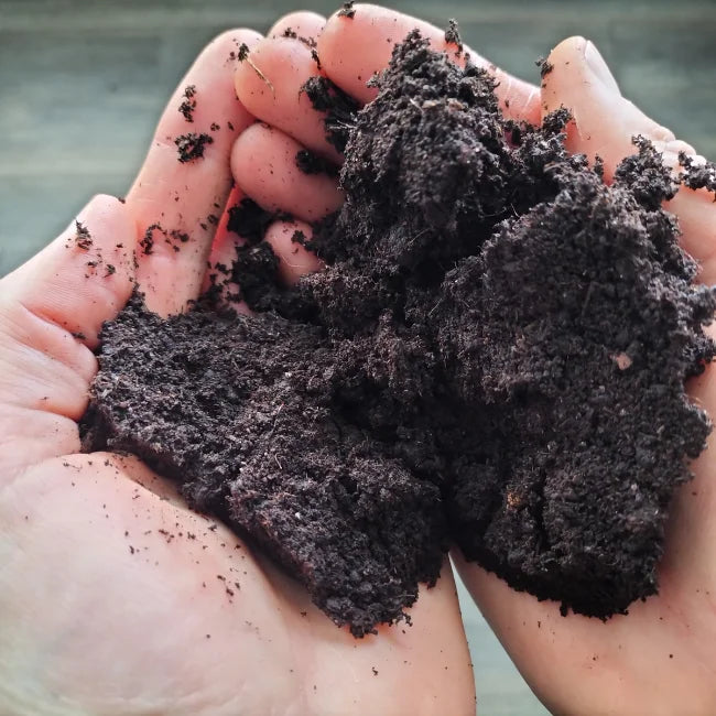 Living Green Compost