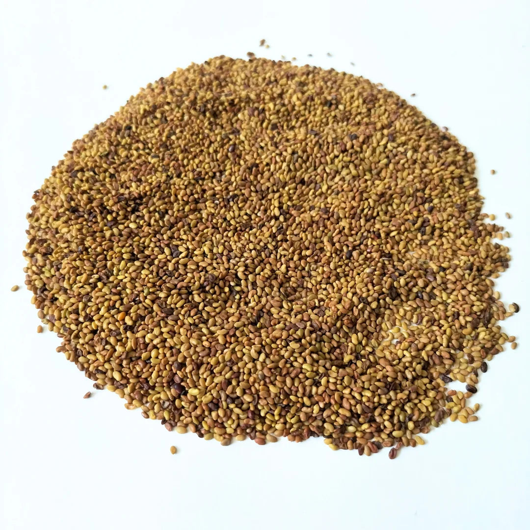 Alfalfa Organic Mcrogreen Seed