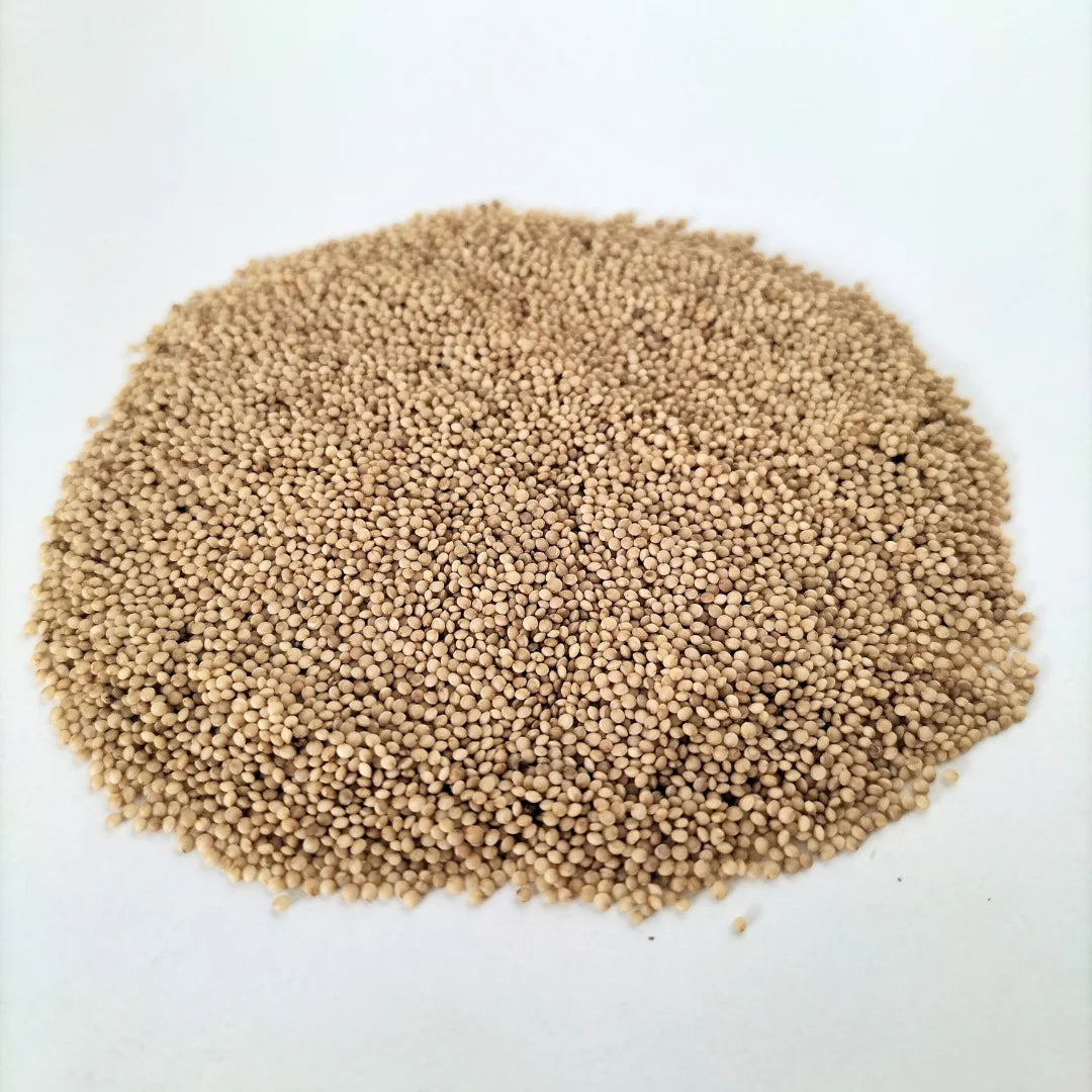 Red Amaranth Organic Microgreen Seed