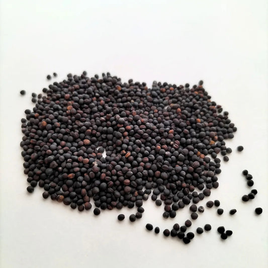 Broccoli Organic Microgreen Seeds