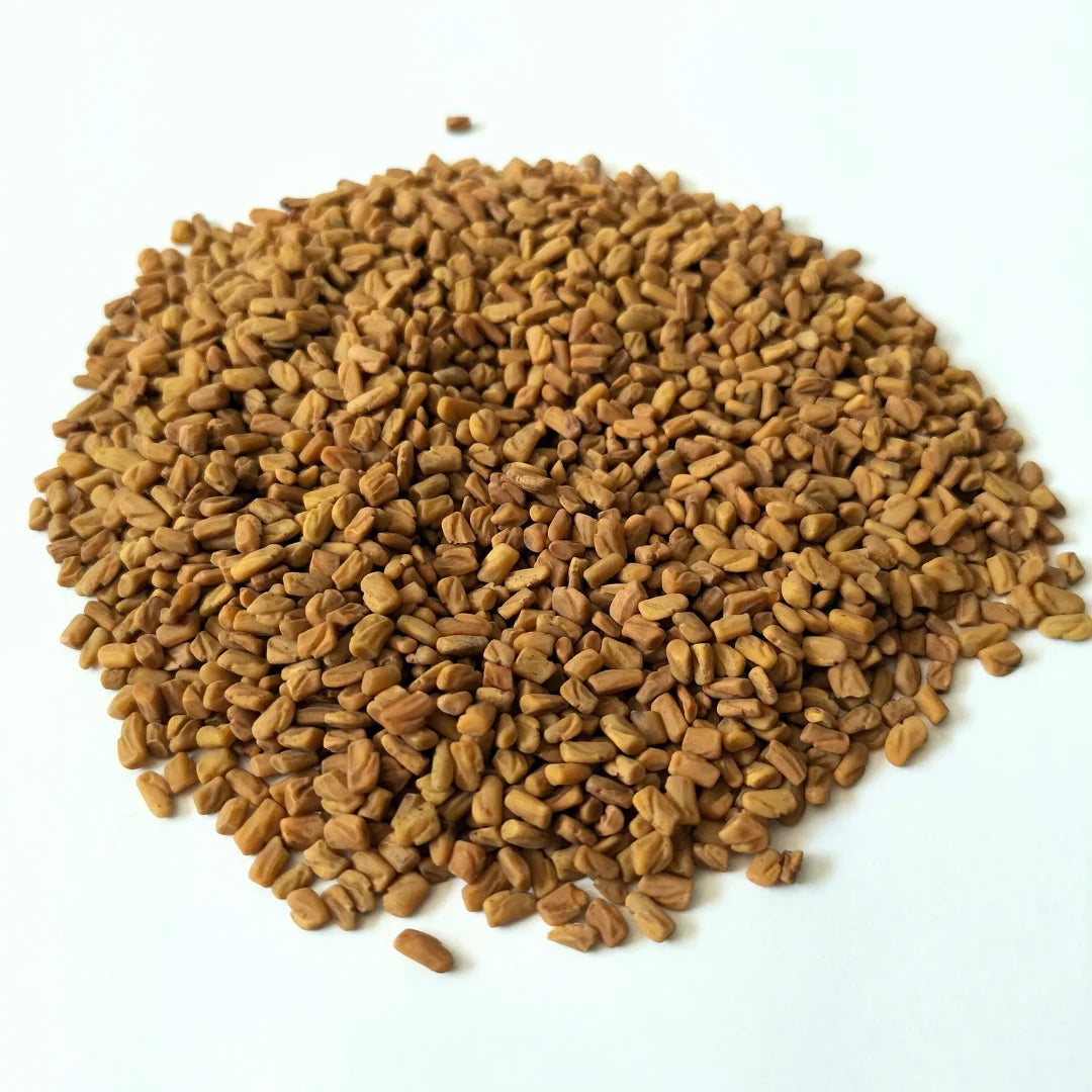 Fenugreek Organic Microgreen Seed