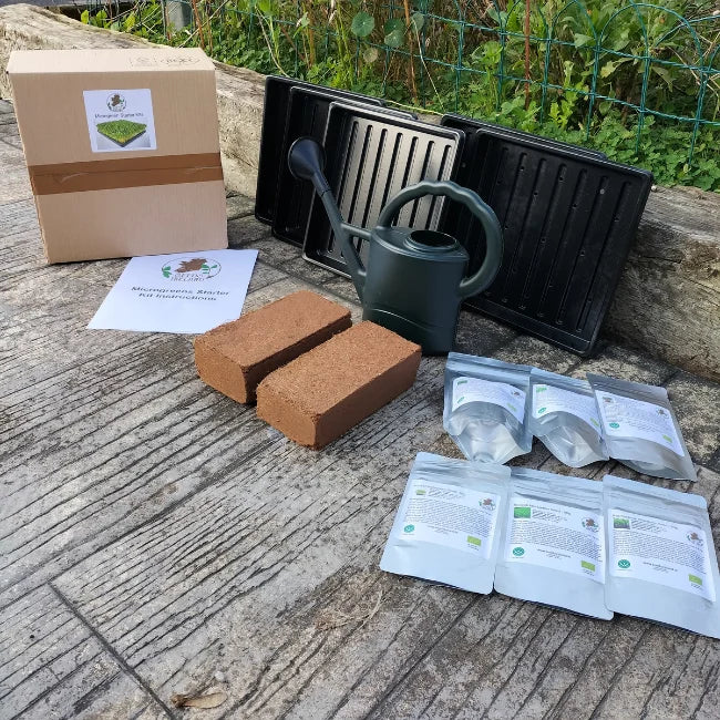 Microgreens Growing kit