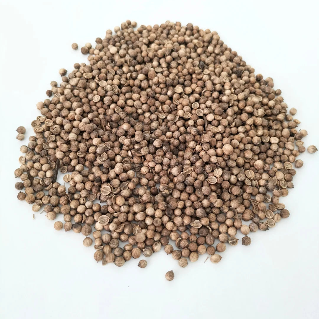 Whole Coriander Organic Microgreen Seed