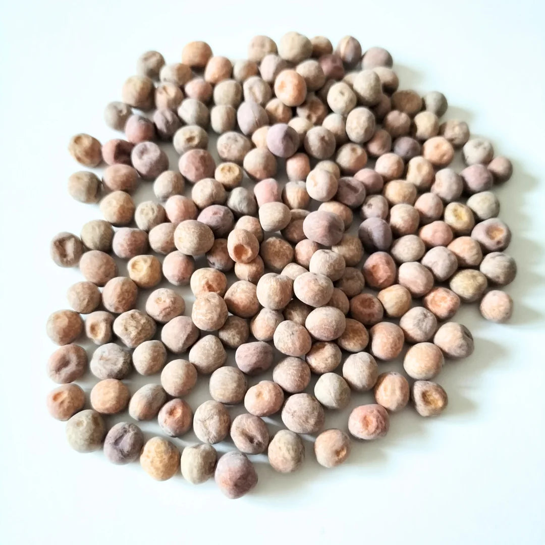 Speckled Pea Organic Microgreen Seed