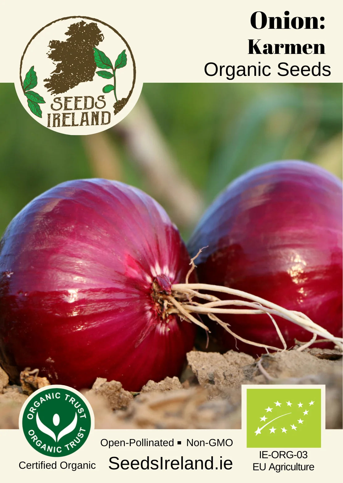 Onion: Karmen Organic Seed