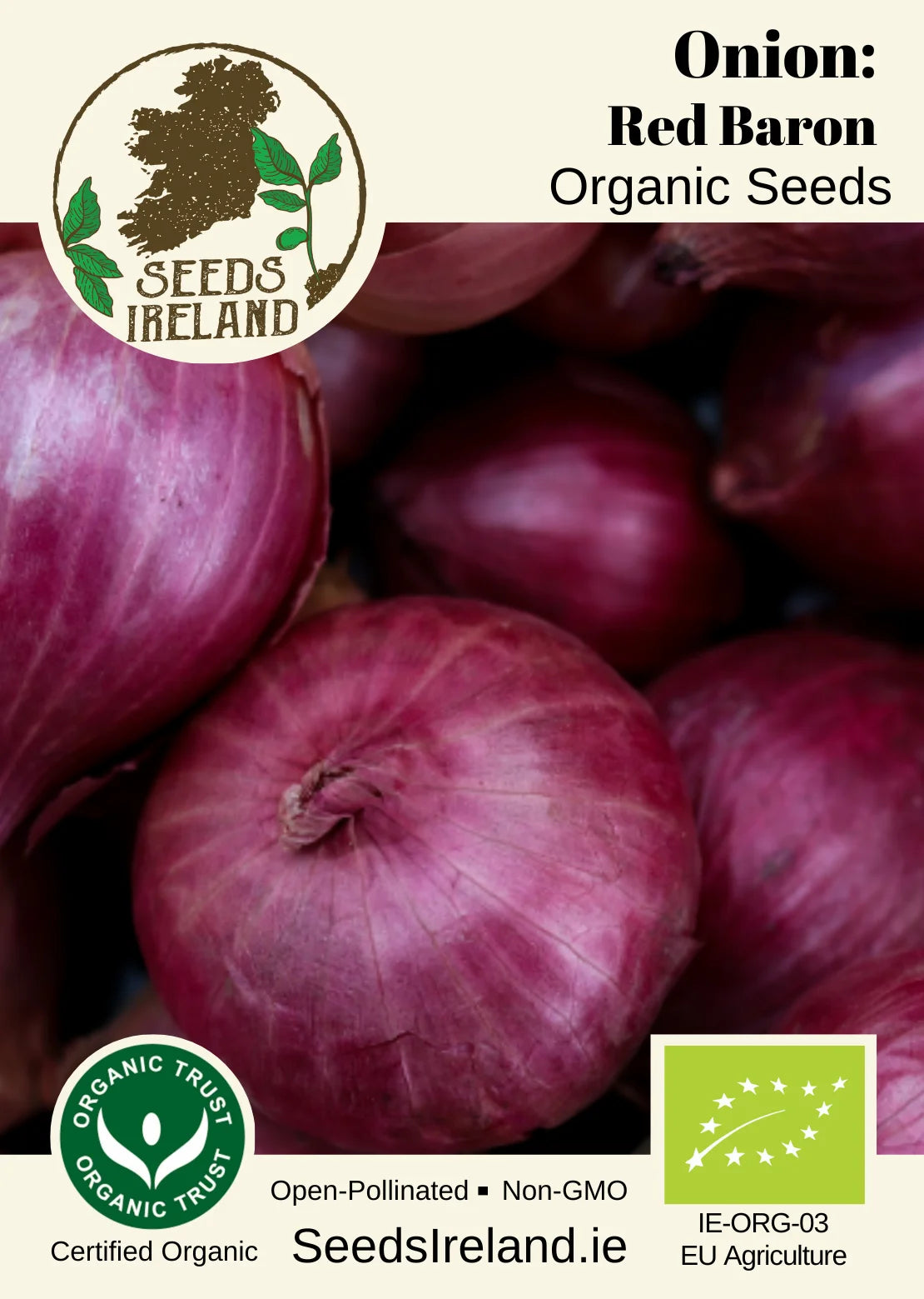 Onion: Red Baron Organic Seed