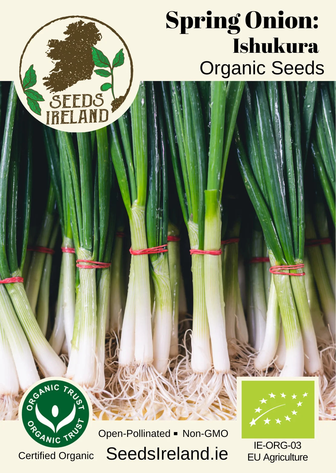Spring Onion: Ishikura Organic Seed