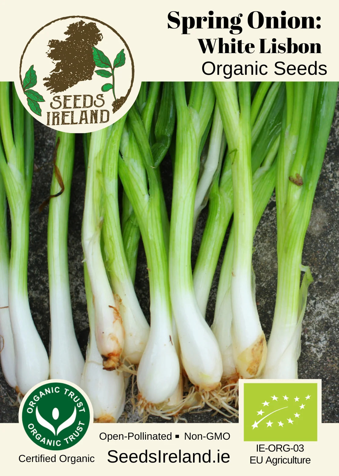 Spring Onion: White Lisbon Organic Seed