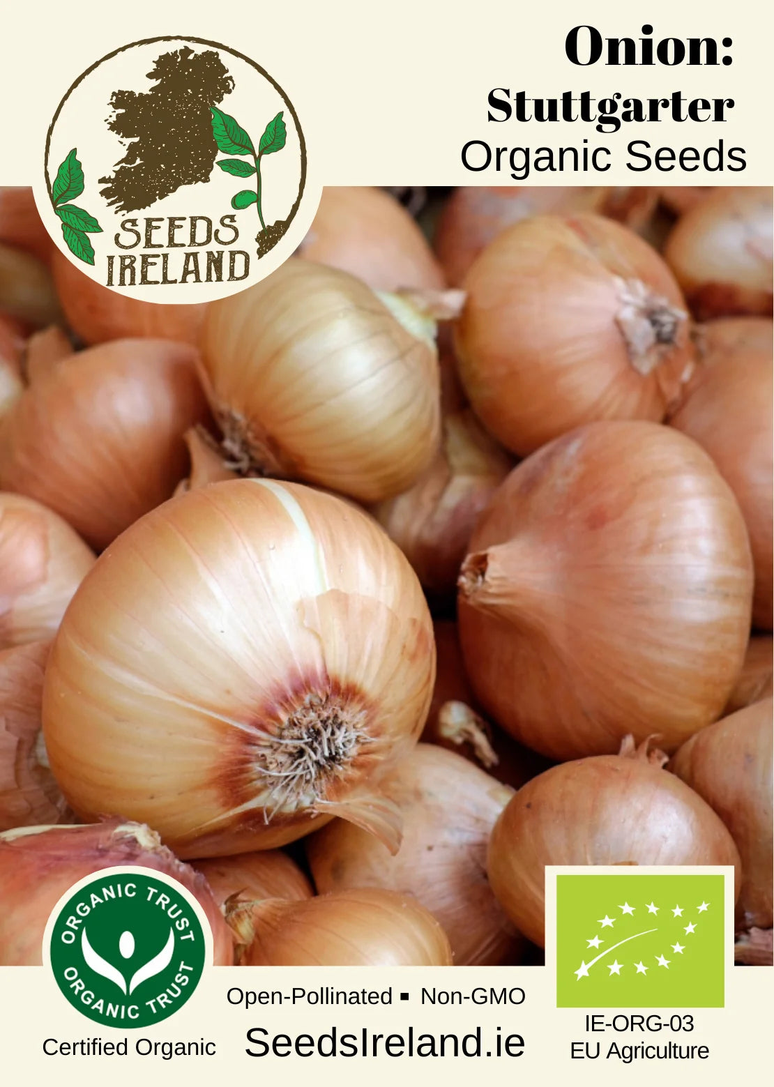Onion: Stuttgarter Organic Seed