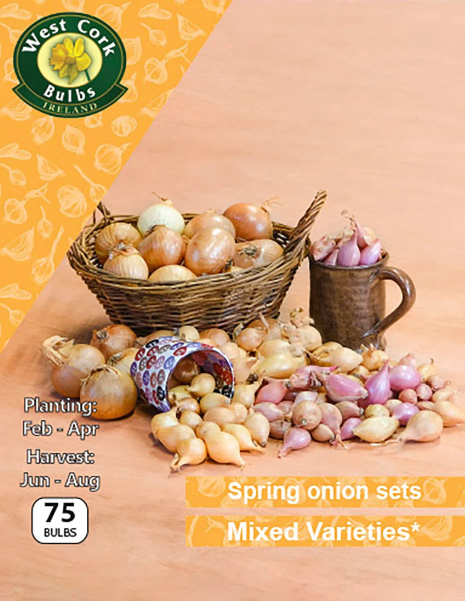 Onion Sets: Mixed Varieties (This product & any other product bought along with it will be delivered to you in late February 2025)