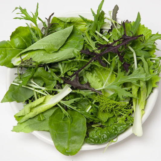 Orientalische Salatmischung Bio-Samen