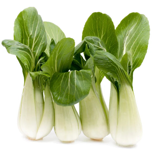 Pak Choi Square