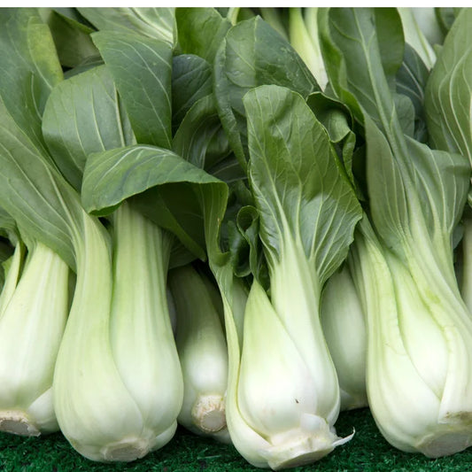 Pak Choi Yorokobi