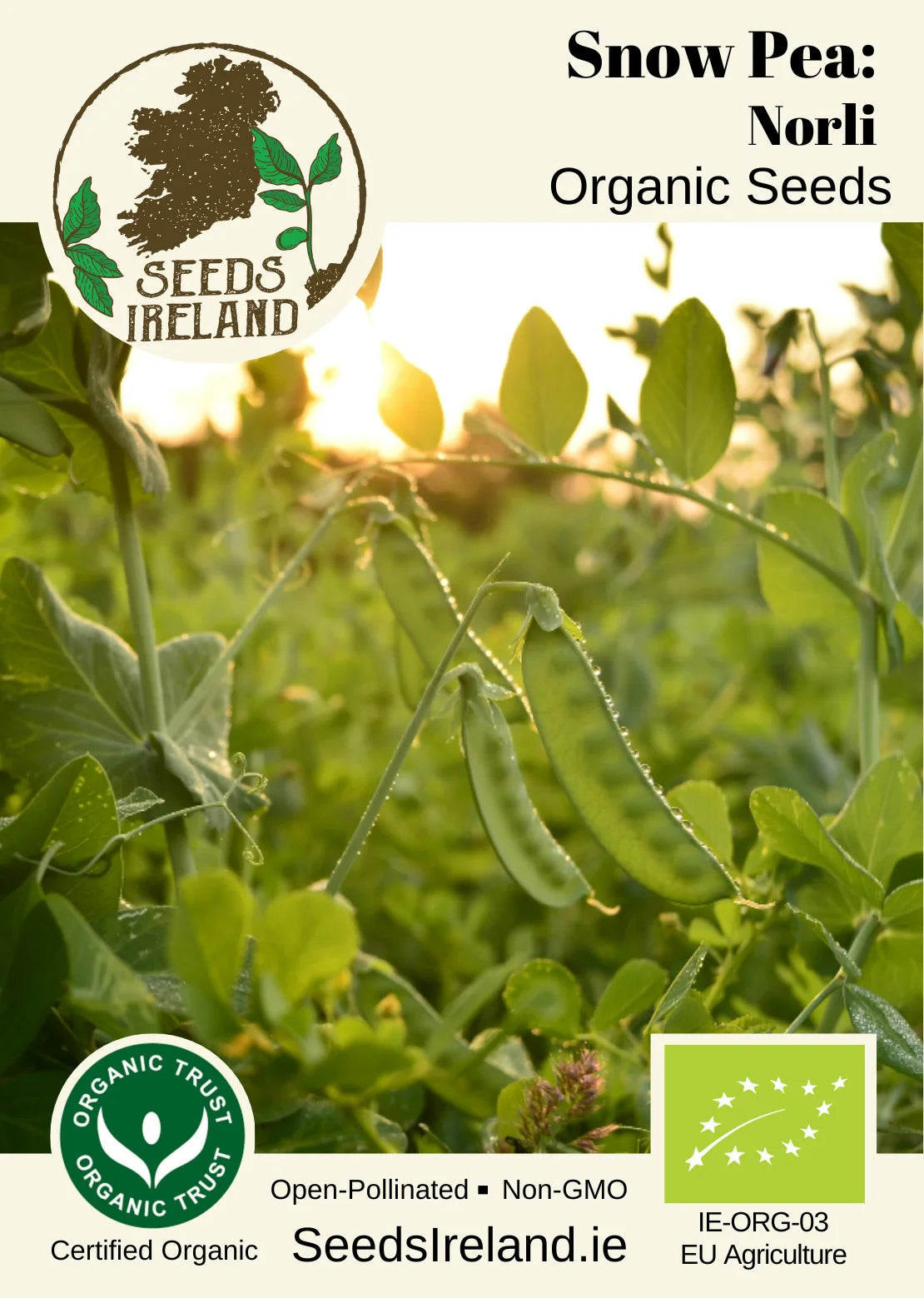 Snow Pea: Norli Organic Seed
