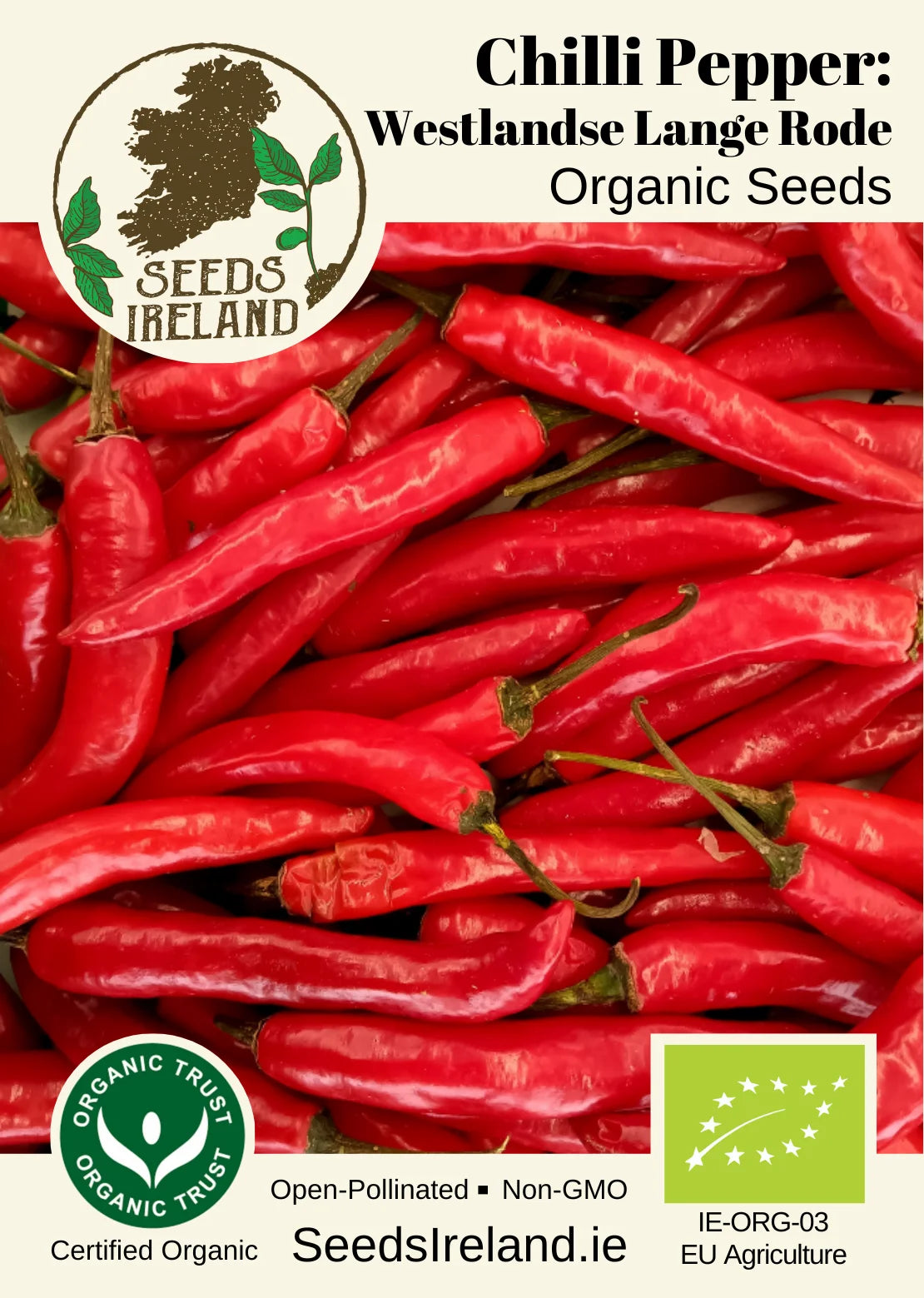 Chilli Pepper: Westlandse Lange Rode Organic Seed