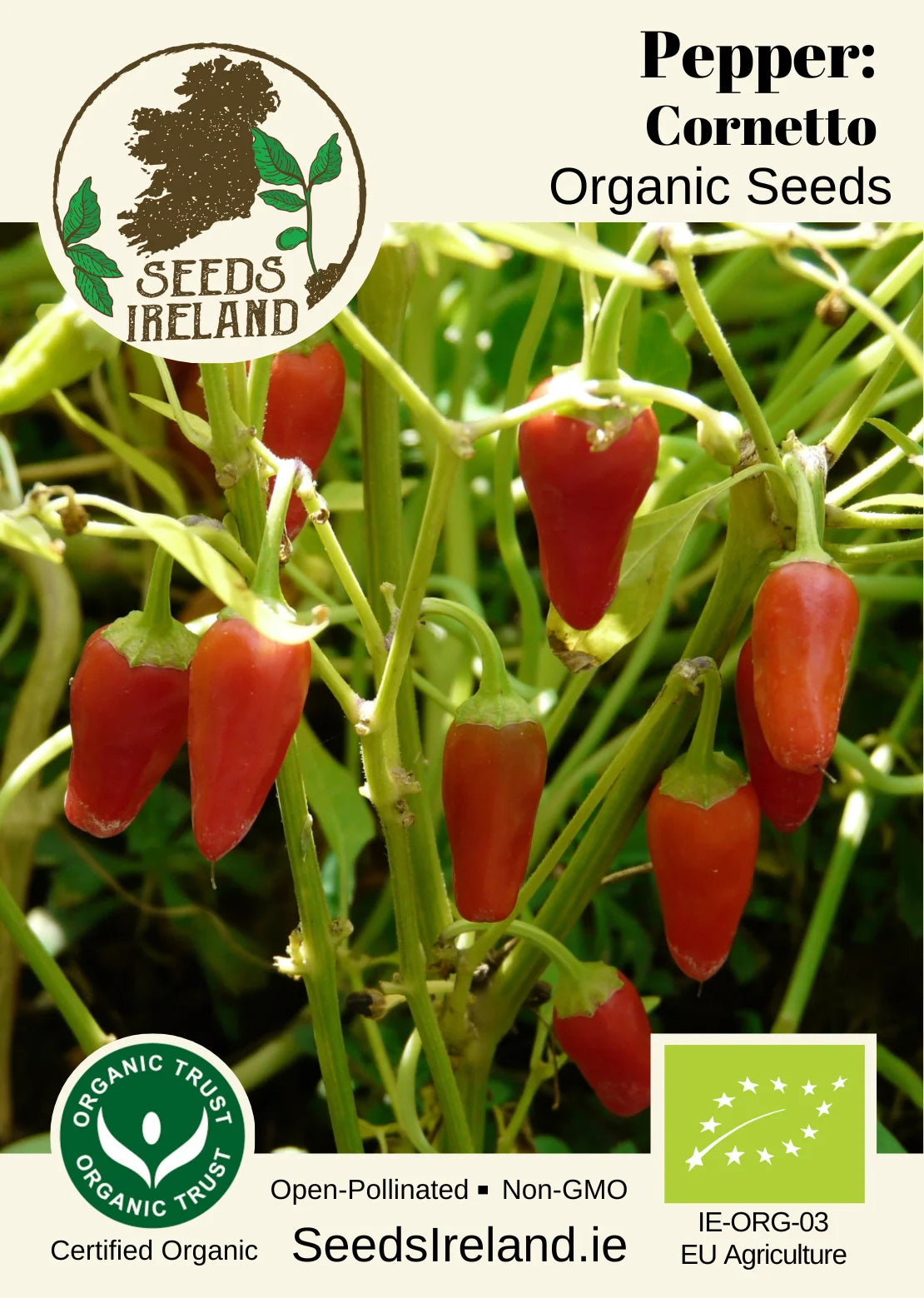 Pepper: Cornetto Organic Seed