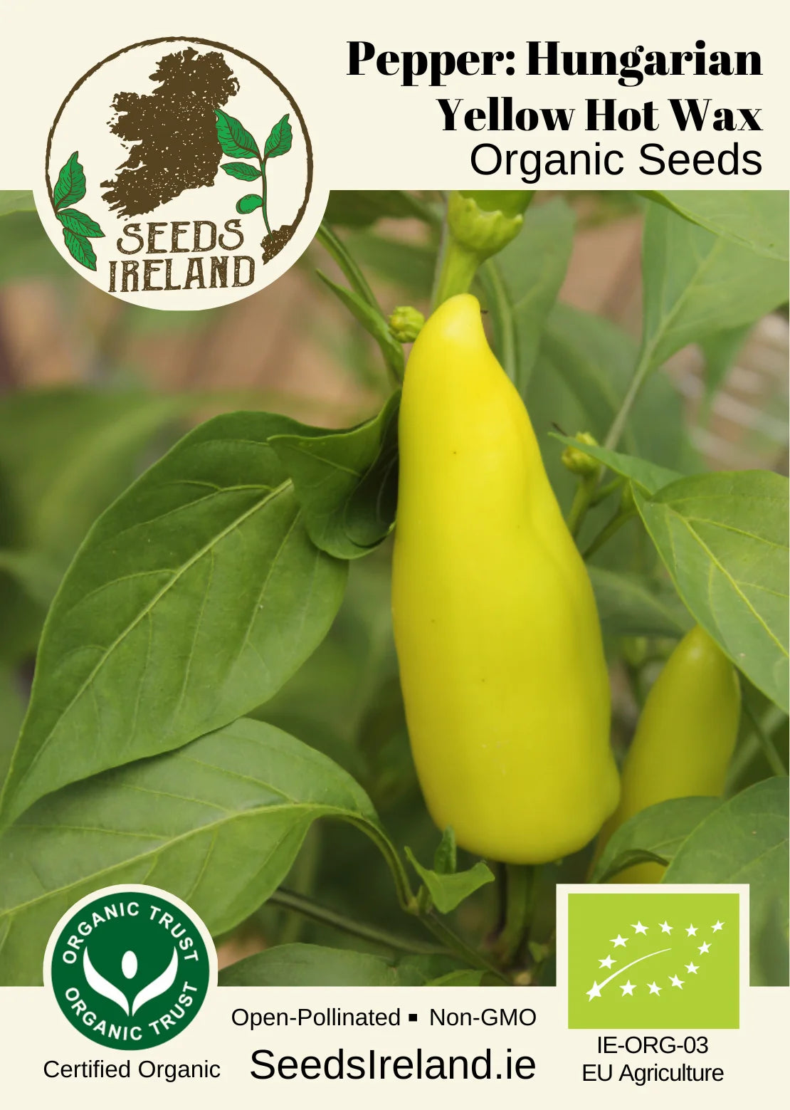 Pepper: Hungarian Yellow Hot Wax Organic Seed